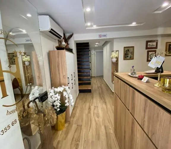 Hermes Petite Maison